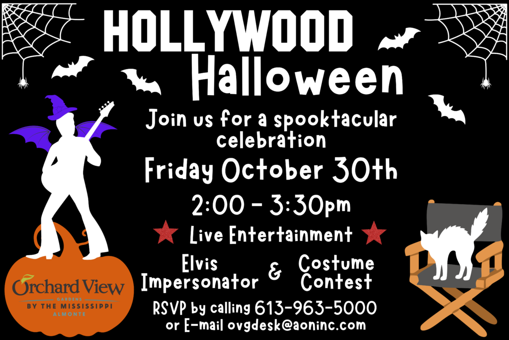 Halloween Party at Orchard View